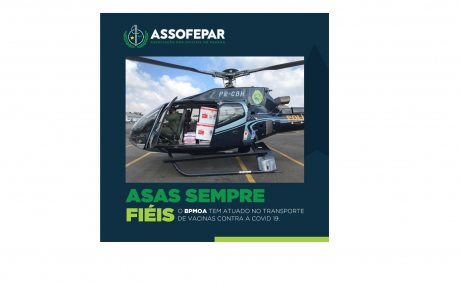 Post| Assofepar